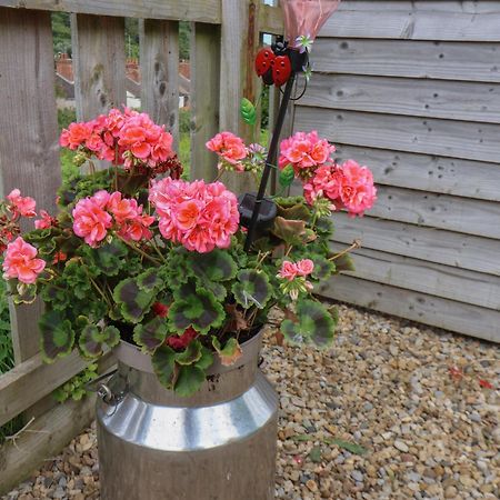 Lady Bird Retreat Villa Saltburn-by-the-Sea Luaran gambar