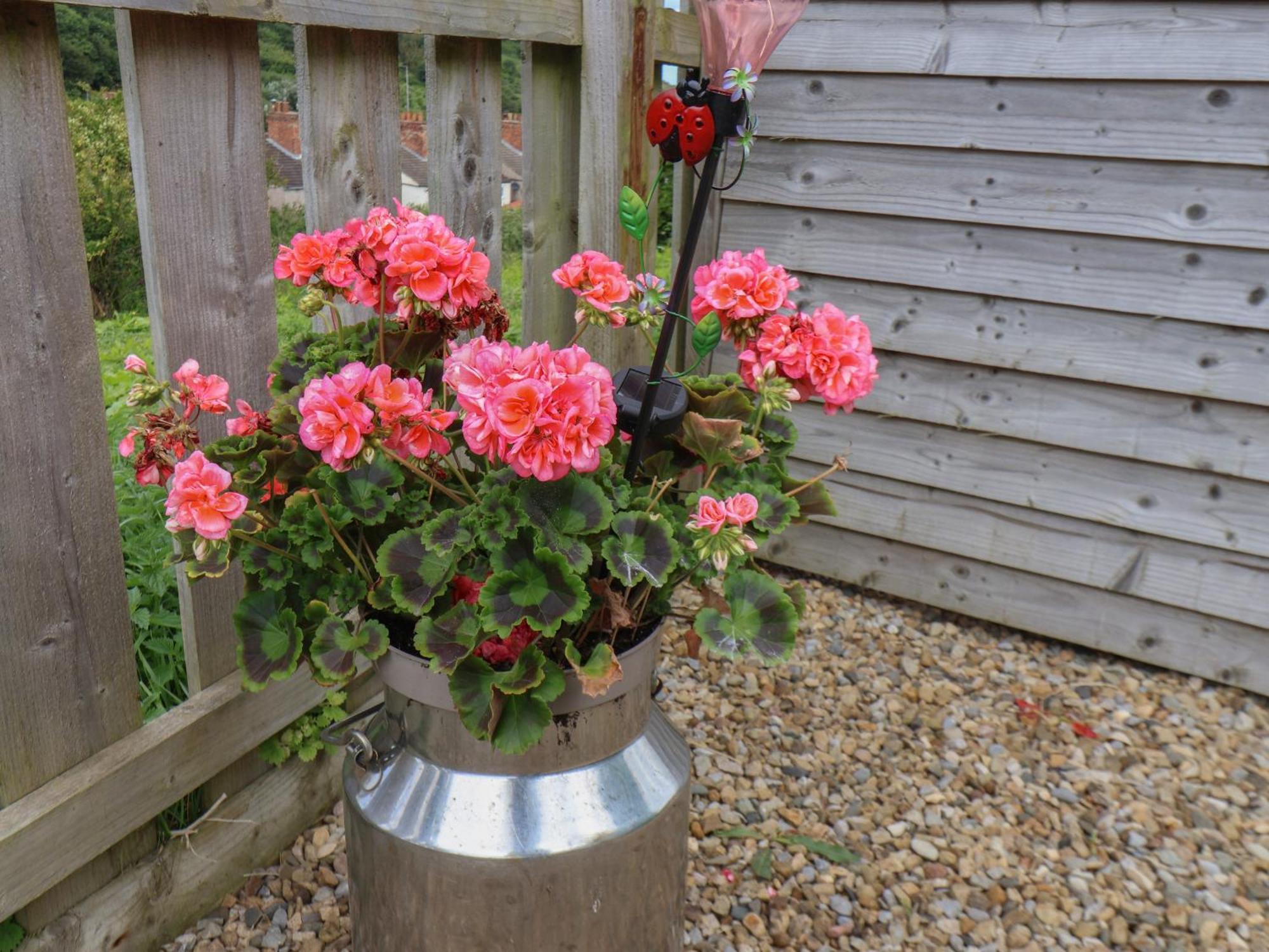 Lady Bird Retreat Villa Saltburn-by-the-Sea Luaran gambar